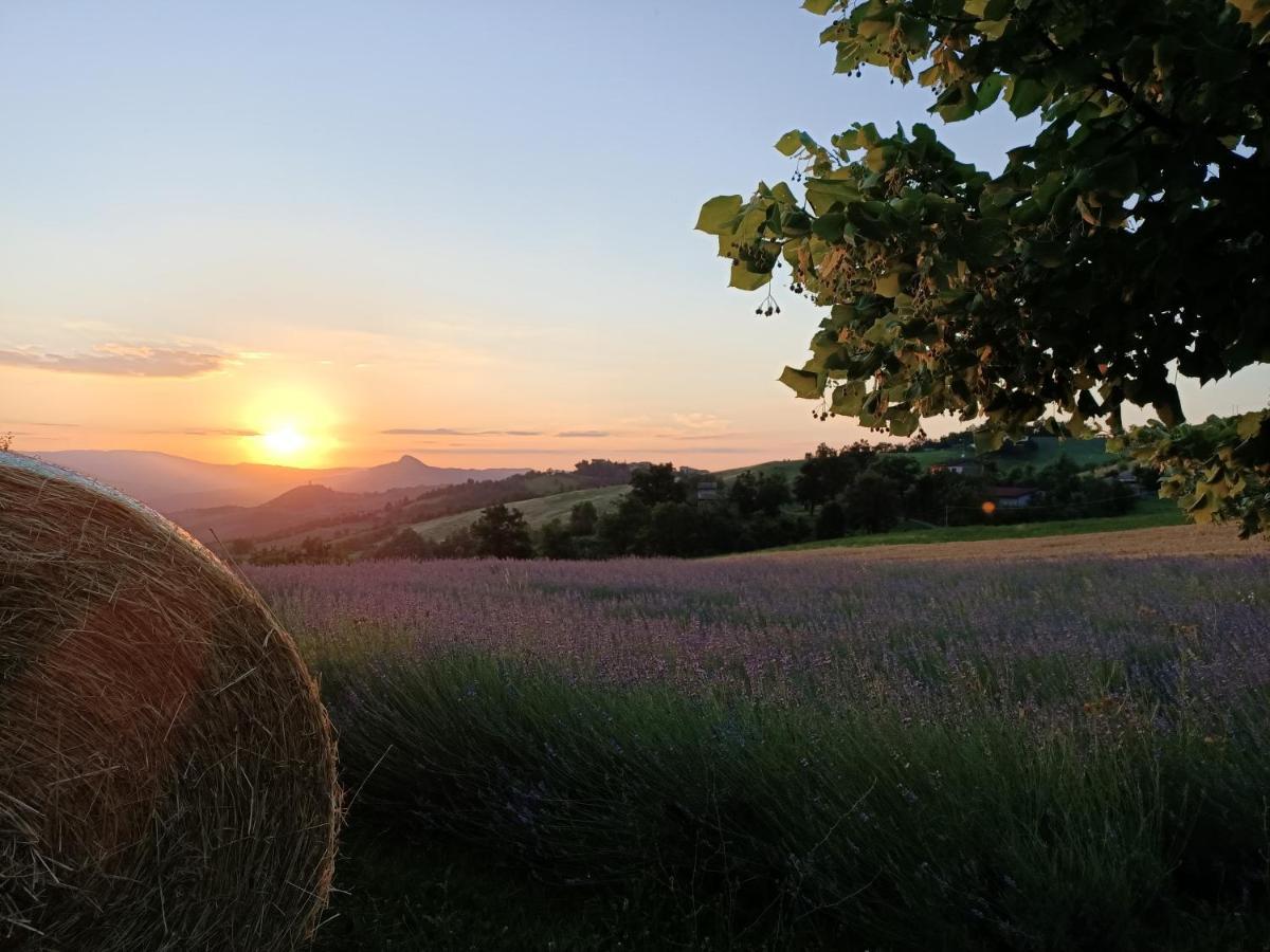 Agriturismo La Casetta - Ospitalita Rurale Familiare Montese Eksteriør bilde