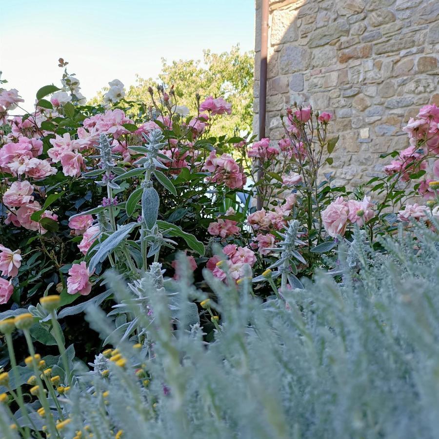 Agriturismo La Casetta - Ospitalita Rurale Familiare Montese Eksteriør bilde